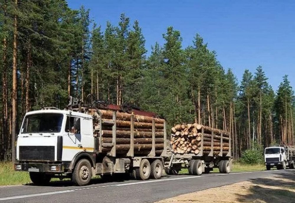 Лесовоз Лесовозы для перевозки леса, аренда и услуги. взять в аренду, заказать, цены, услуги - Лангепас