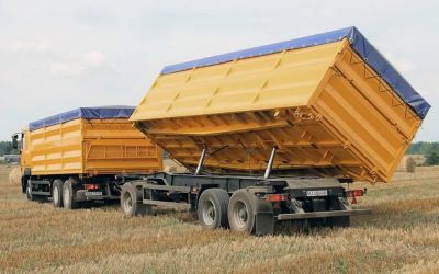 Услуги зерновозов для перевозки зерна - Сургут, цены, предложения специалистов