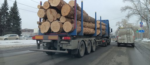 Поиск транспорта для перевозки леса, бревен и кругляка стоимость услуг и где заказать - Сургут